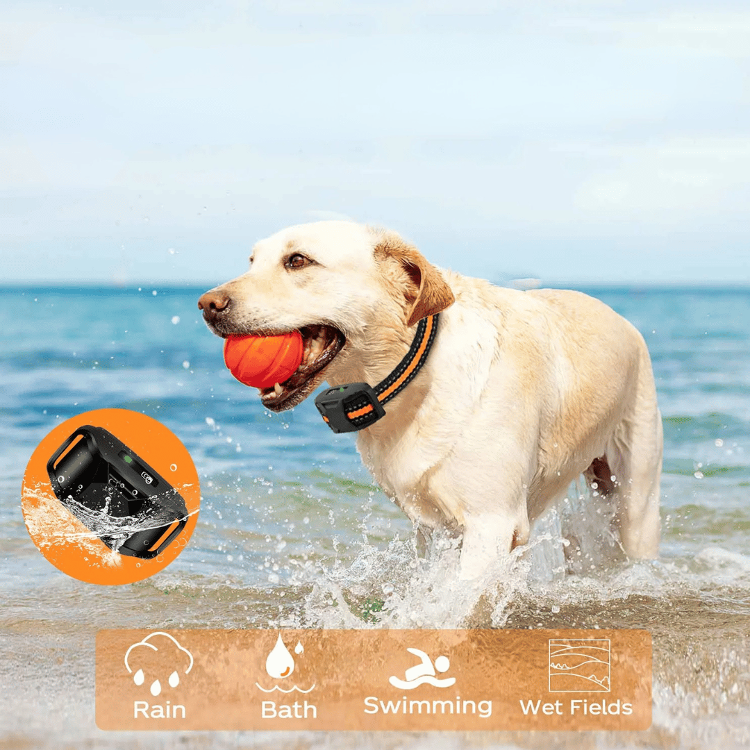 1000m Dog Training Collar & Remote Control | Waterproof & Rechargeable E-Collar