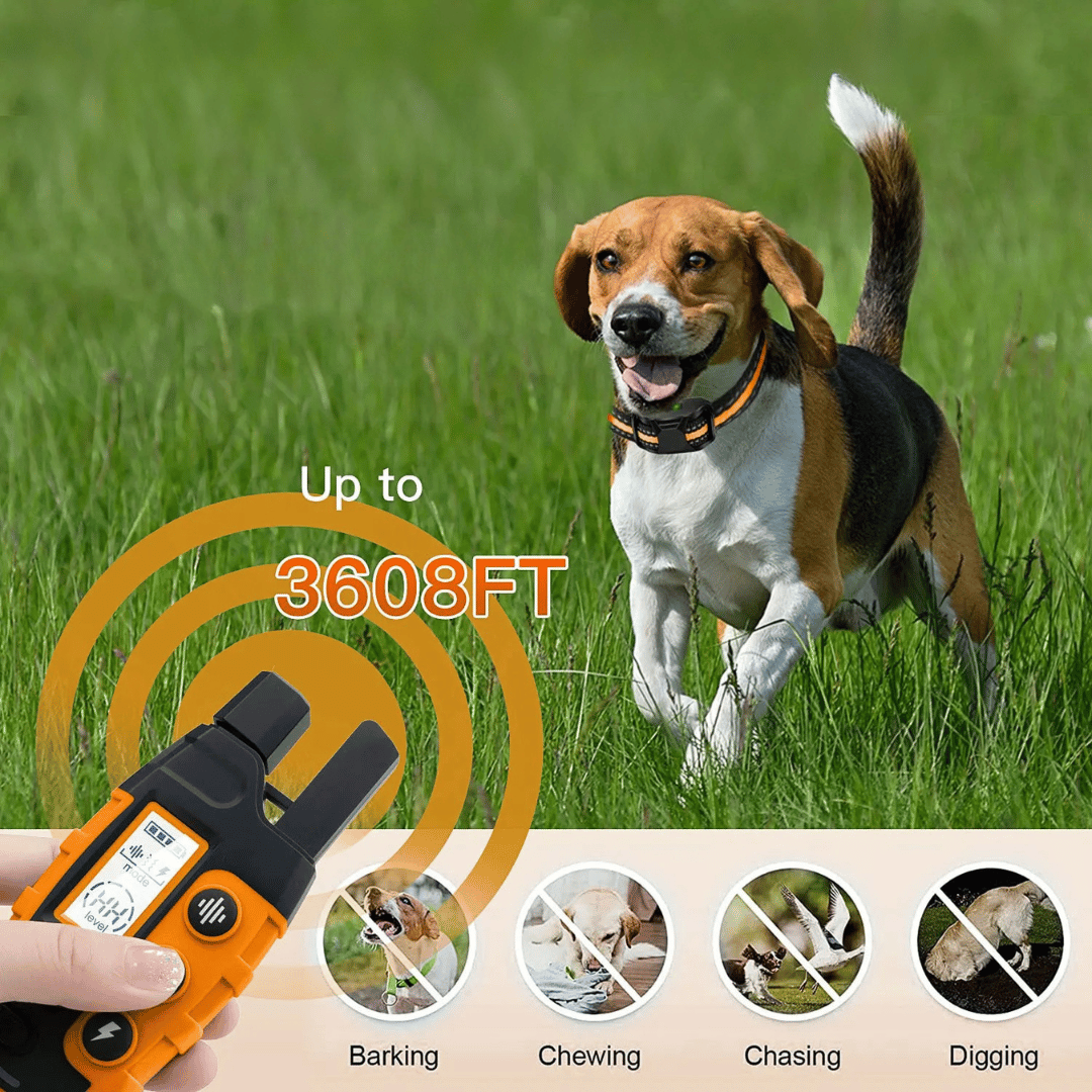 1000m Dog Training Collar & Remote Control | Waterproof & Rechargeable E-Collar