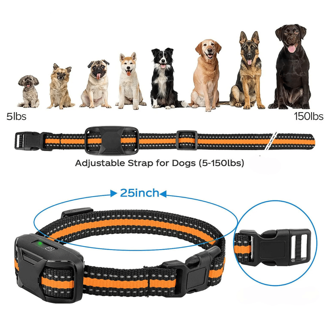 1000m Dog Training Collar & Remote Control | Waterproof & Rechargeable E-Collar