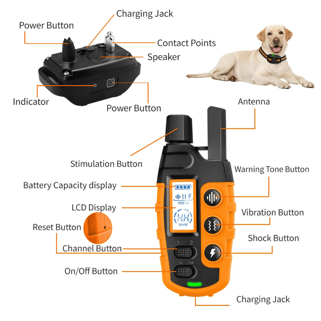 1000m Dog Training Collar & Remote Control | Waterproof & Rechargeable E-Collar