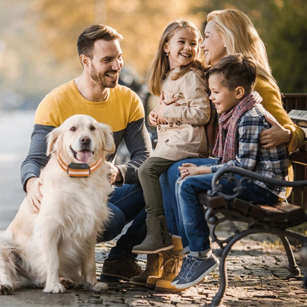 1000m e-Collar for Dog Training with Remote | Waterproof & Rechargeable