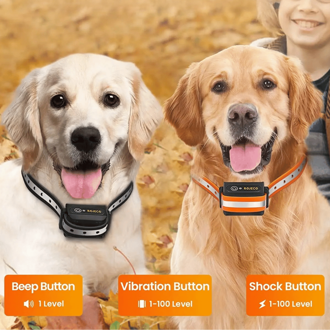 1000m e-Collar for Dog Training with Remote | Waterproof & Rechargeable