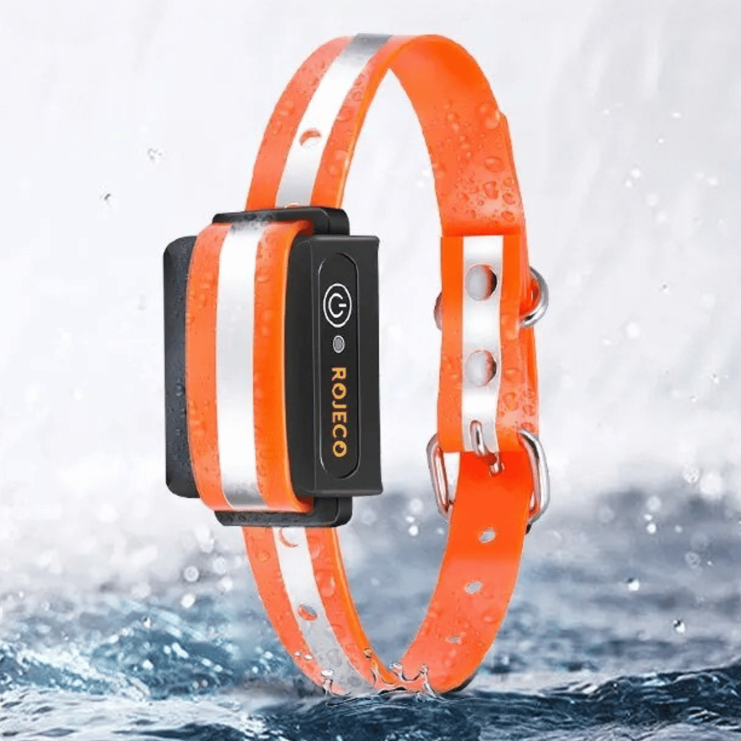 1000m e-Collar for Dog Training with Remote | Waterproof & Rechargeable