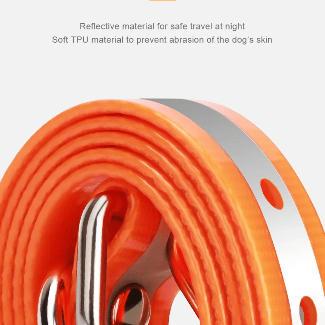 1000m e-Collar for Dog Training with Remote | Waterproof & Rechargeable