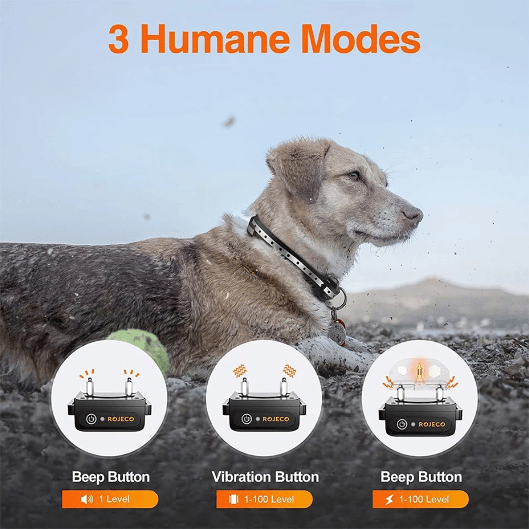 1000m e-Collar for Dog Training with Remote | Waterproof & Rechargeable