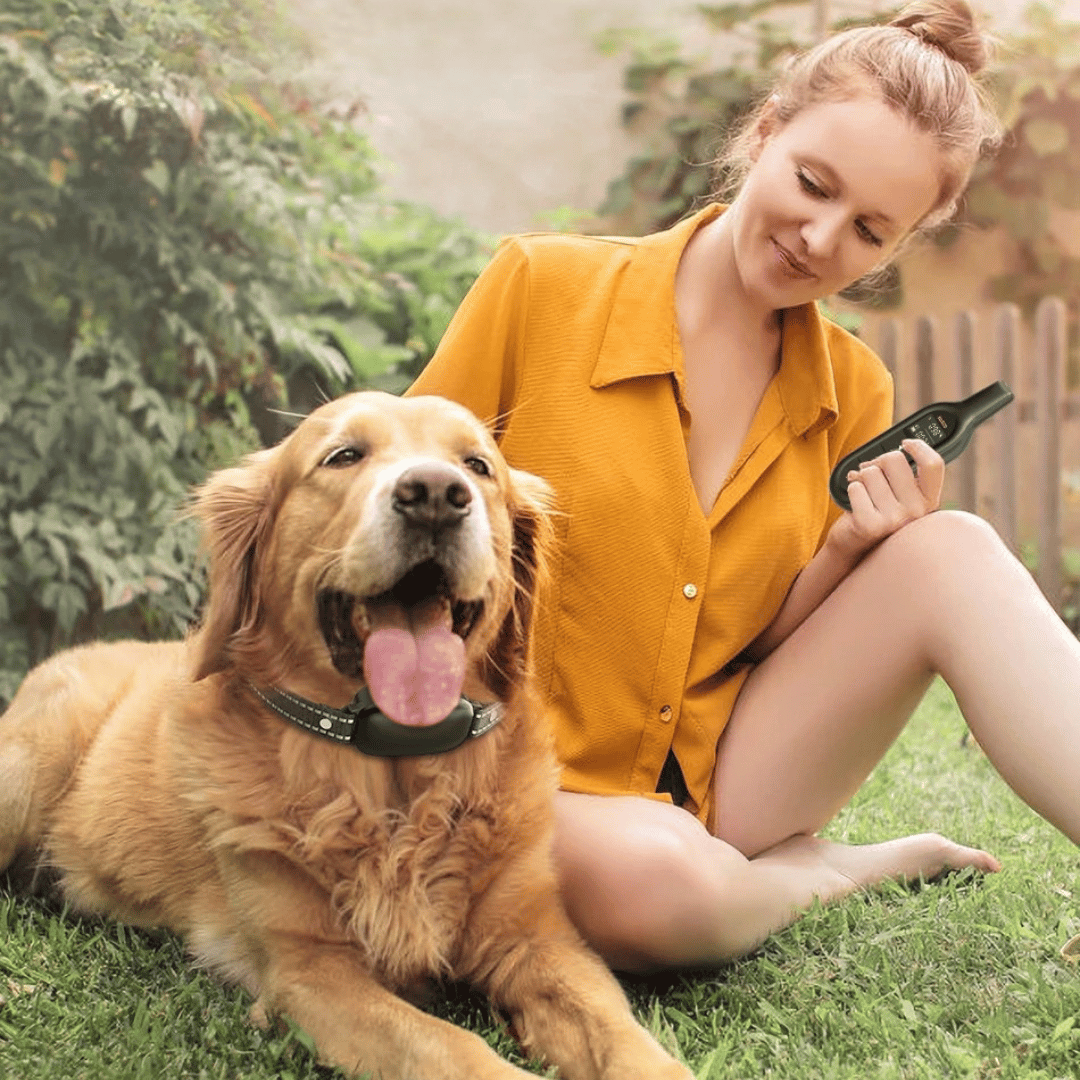 1000m Remote Dog Training Collar | Waterproof & Rechargeable E-Collar