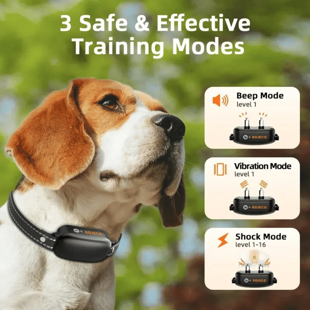 1000m Remote Dog Training Collar | Waterproof & Rechargeable E-Collar
