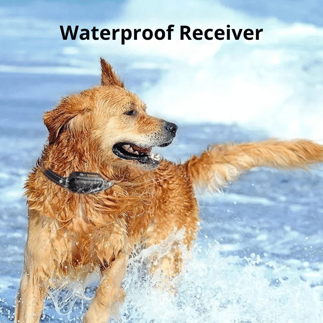 1000m Remote Dog Training Collar | Waterproof & Rechargeable E-Collar
