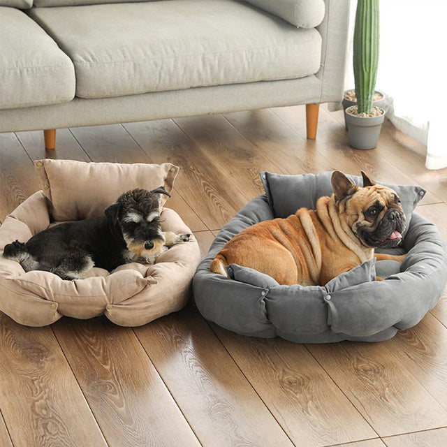 3-In-1 Pet Bed Sofa Cushion for Smaller Dogs & Cats