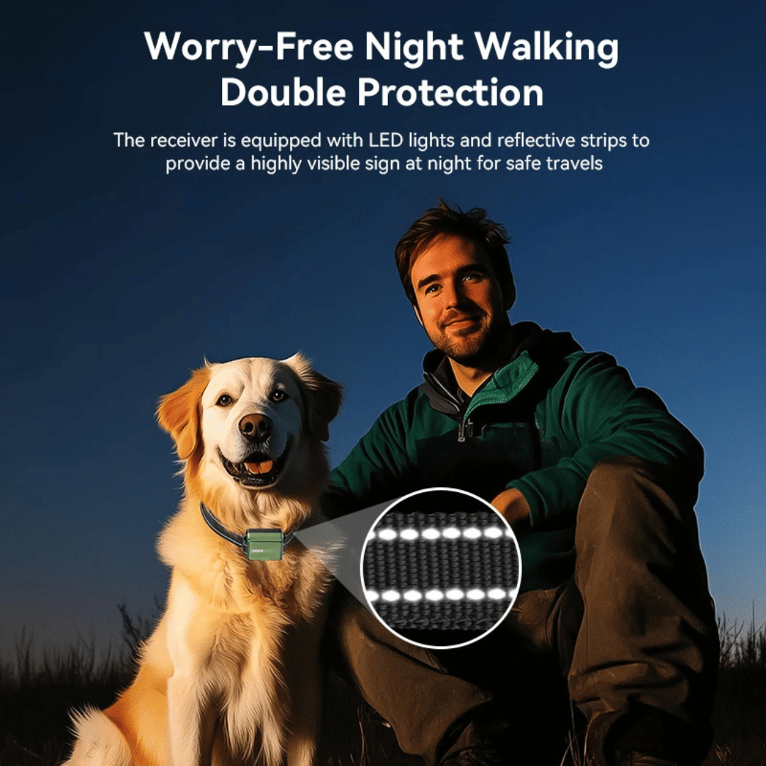 300m Smart Dog Training Collar & Remote Control | Waterproof & Rechargeable