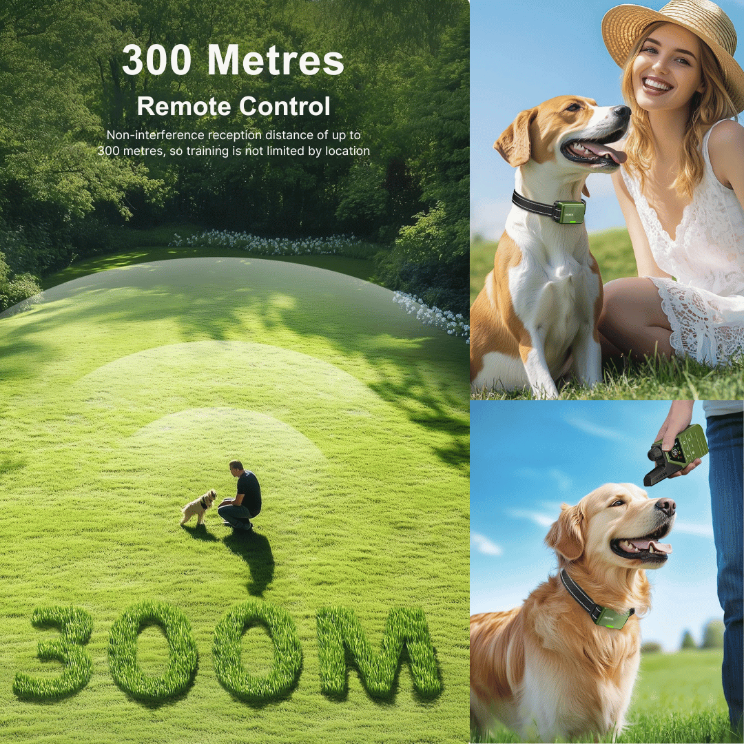 300m Smart Dog Training Collar & Remote Control | Waterproof & Rechargeable