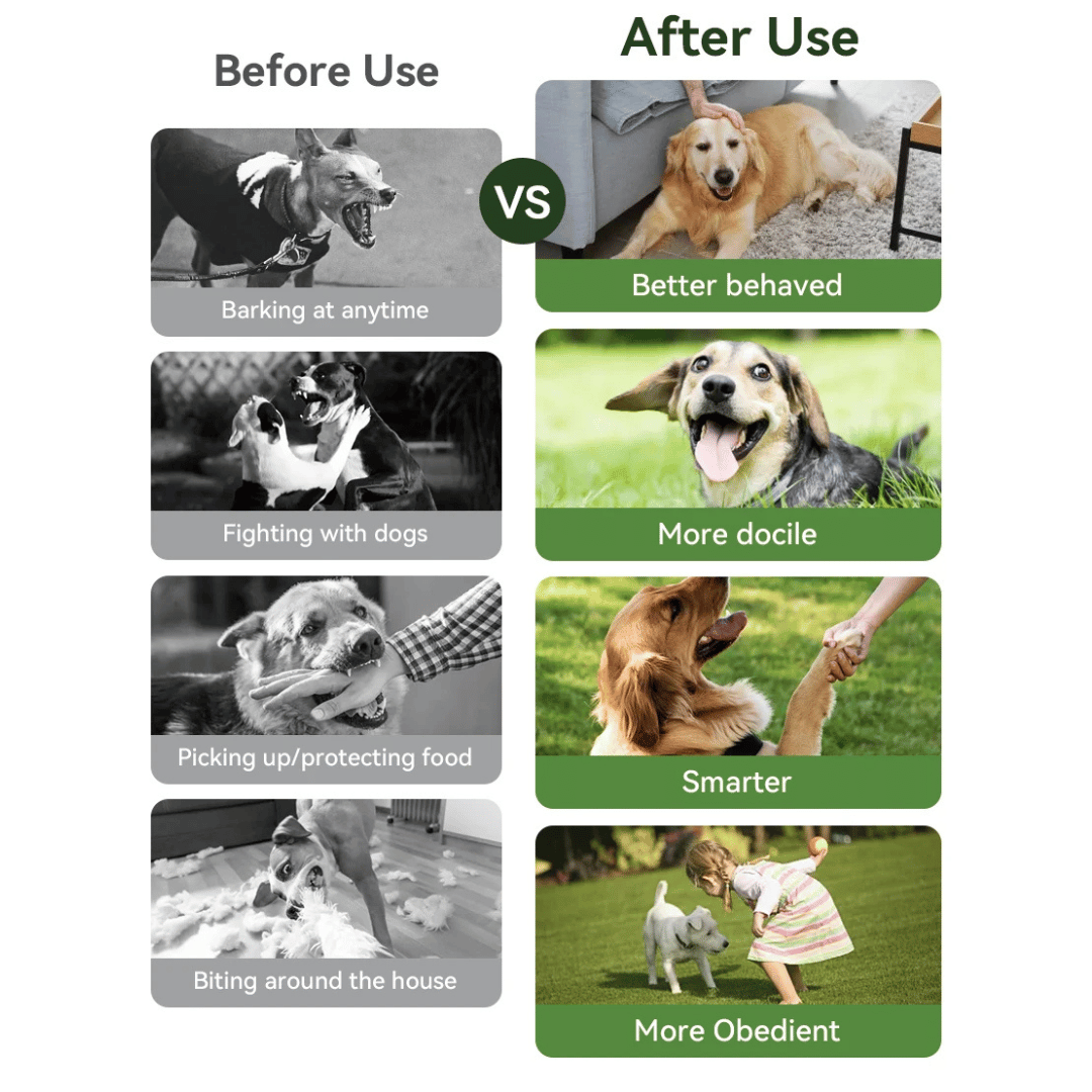 300m Smart Dog Training Collar & Remote Control | Waterproof & Rechargeable