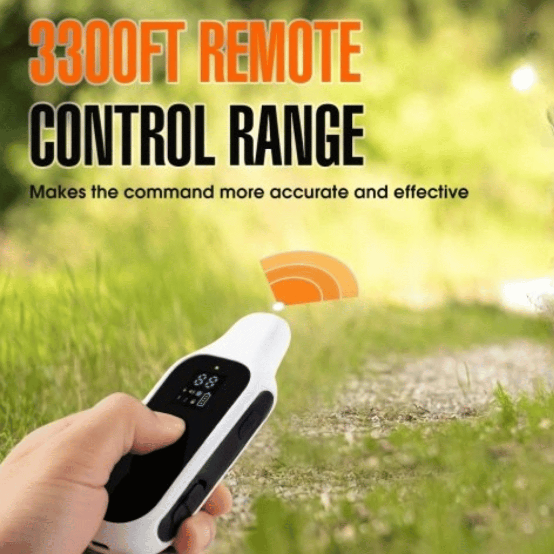 800m Waterproof Digital Dog Training Collar with Remote Control