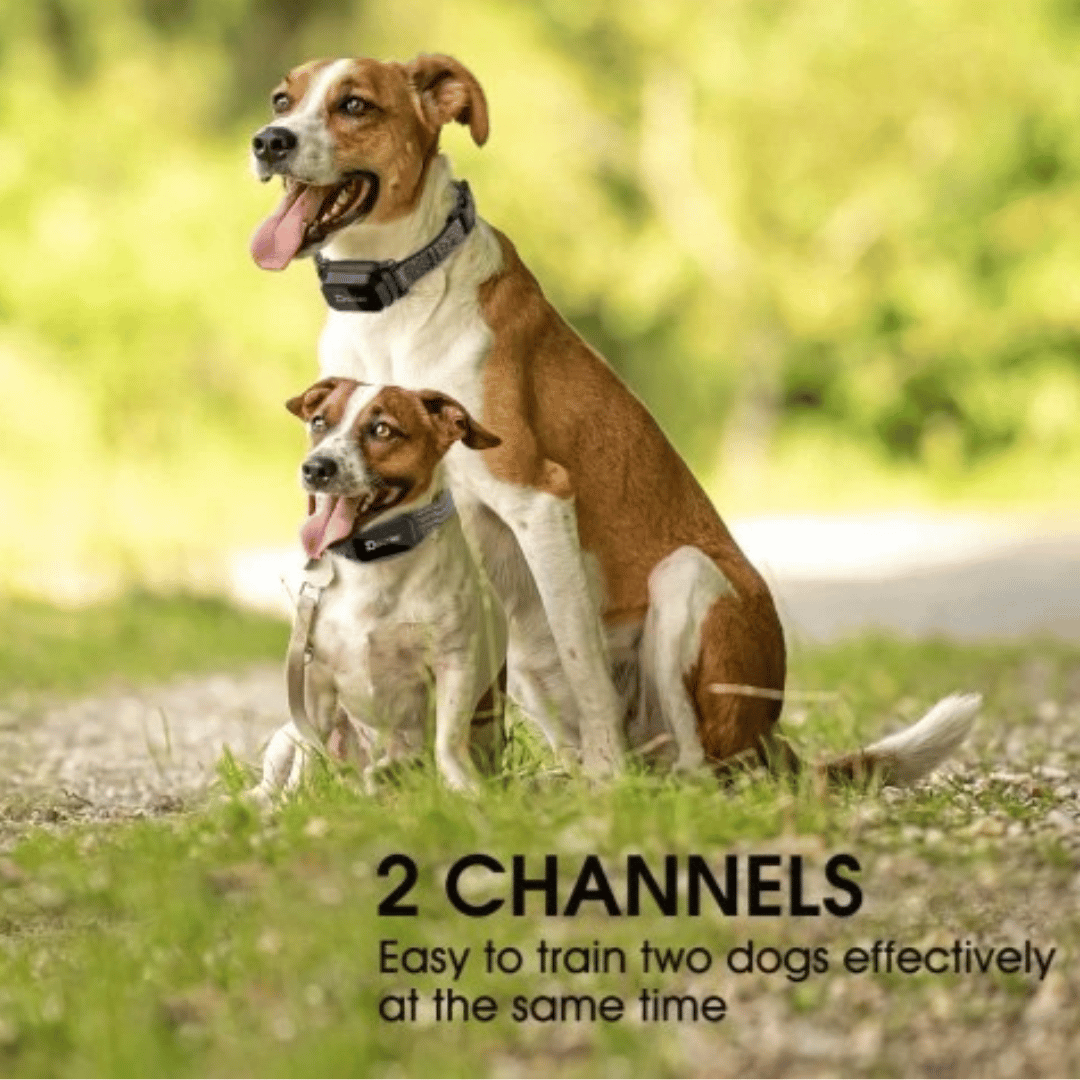 800m Waterproof Digital Dog Training Collar with Remote Control