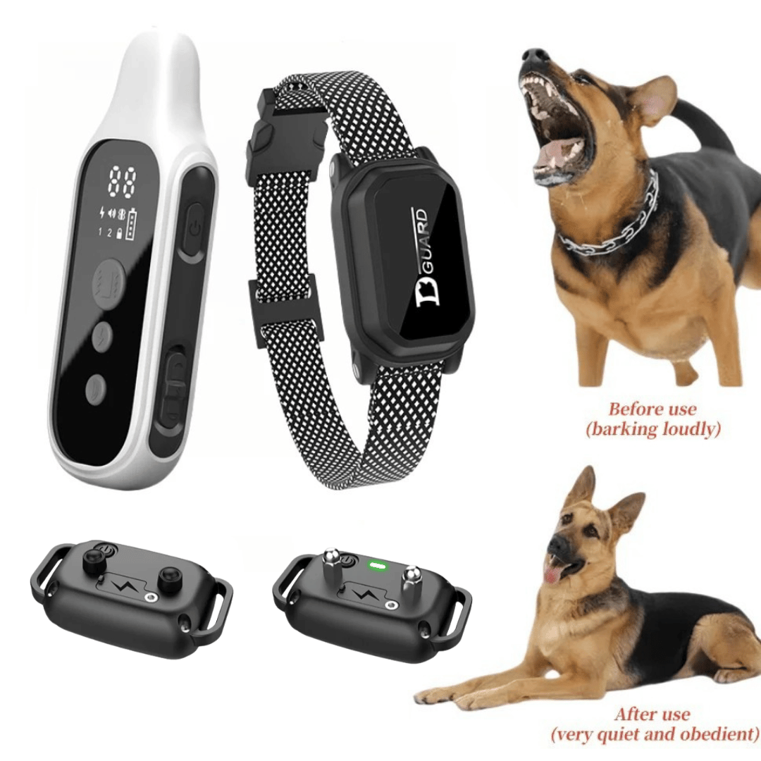800m Waterproof Digital Dog Training Collar with Remote Control