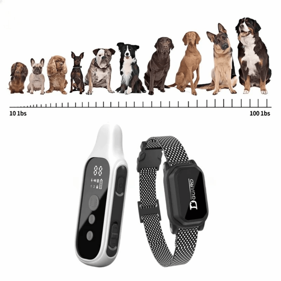 800m Waterproof Digital Dog Training Collar with Remote Control