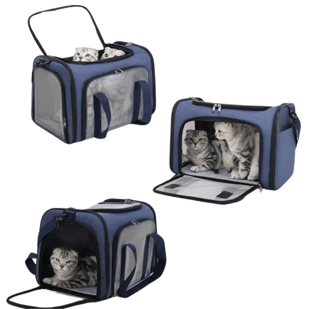 Airline Approved Dog Travel Carrier for Small Dogs