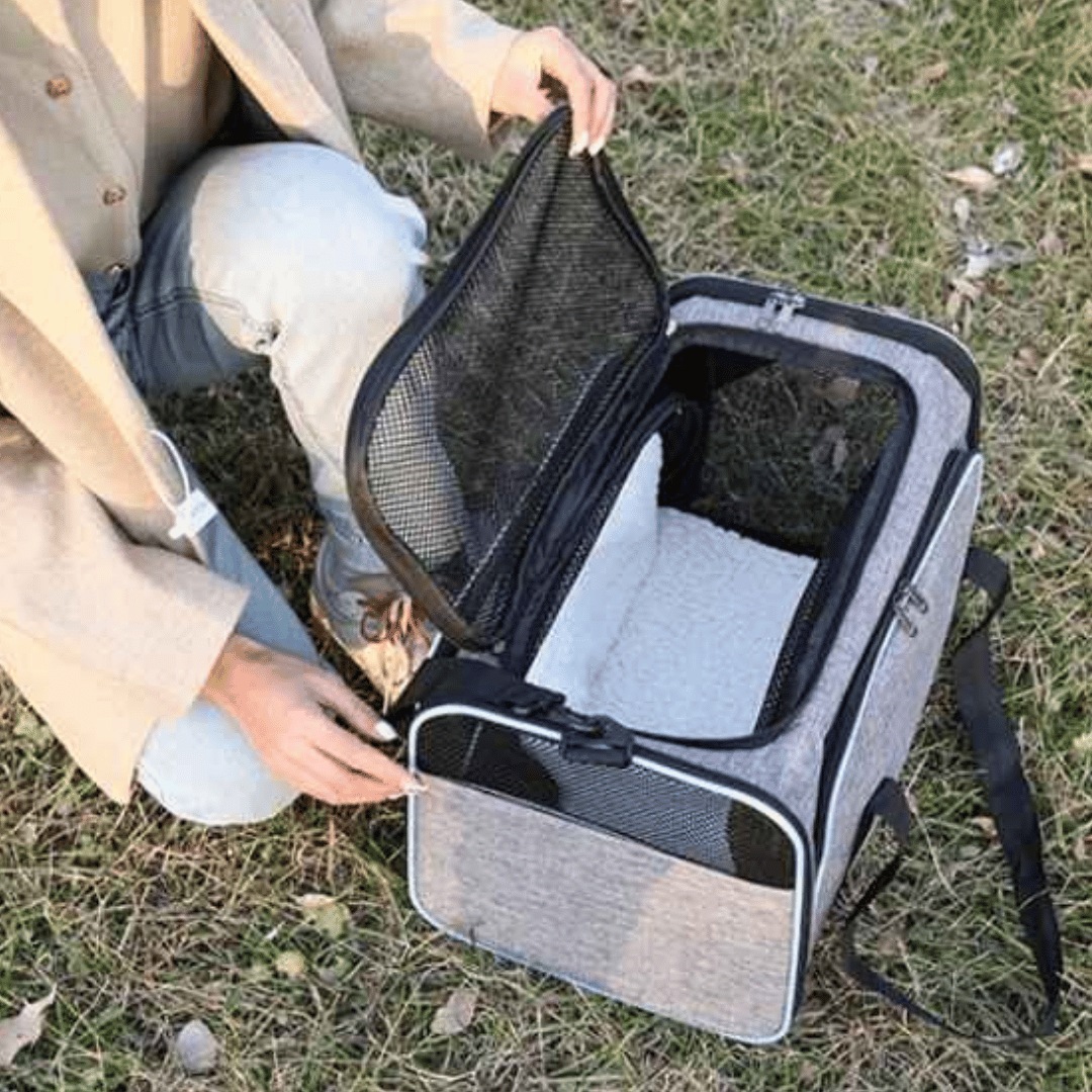 Airline Approved Dog Travel Carrier for Small Dogs
