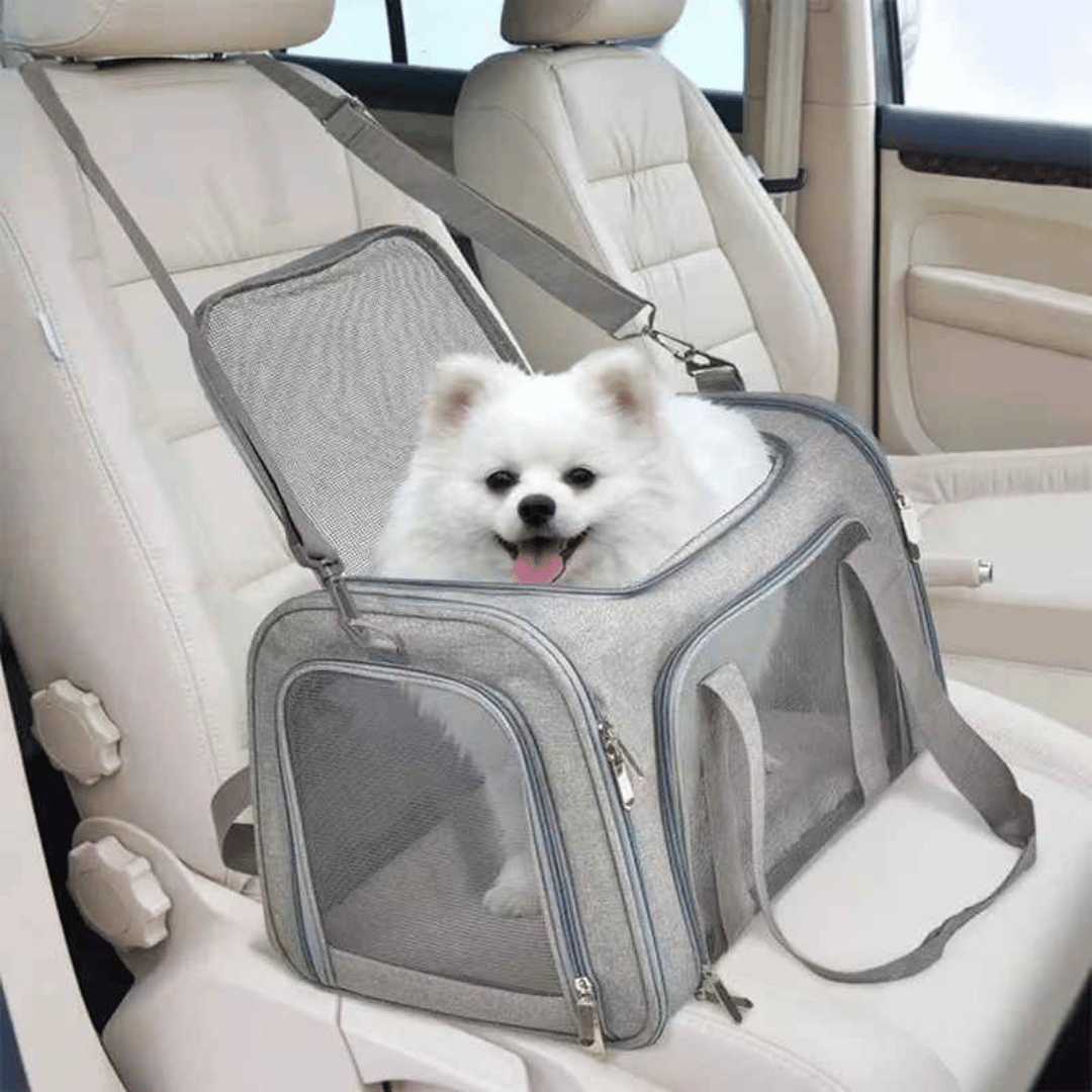 Airline Approved Dog Travel Carrier for Small Dogs