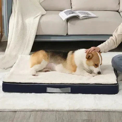 Anti-Anxiety Calming Dog Bed Mat with Removable Cover
