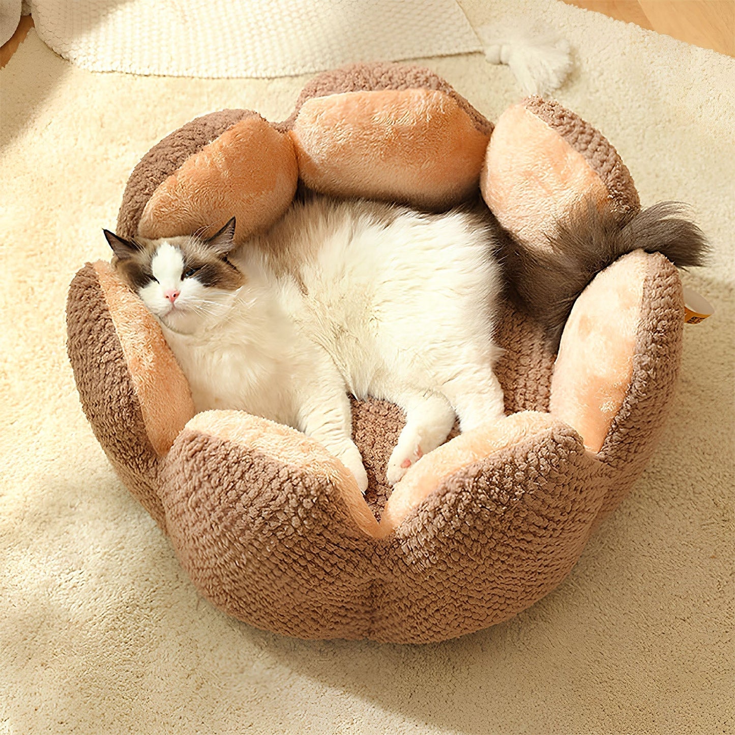 Cactus-Shaped Pet Bed for Cats & Small Dogs