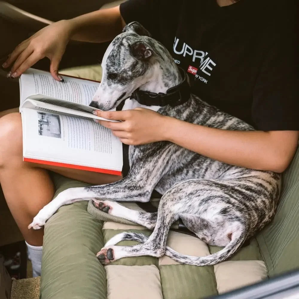 Chessboard-Pattern Comfy Car Seat Bed for Large Dogs