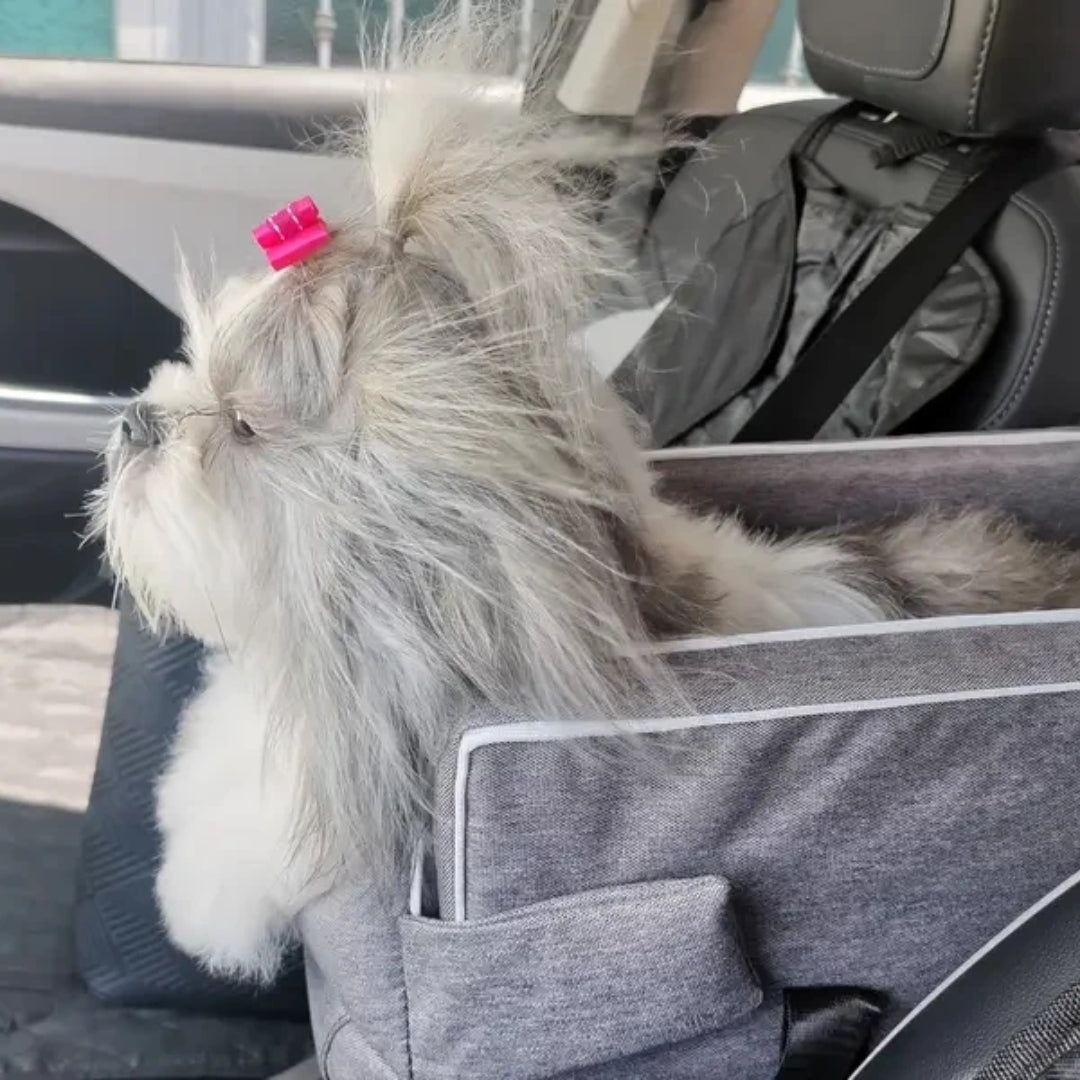 Compact Dog Car Bed & Travel Bag for Small Dogs