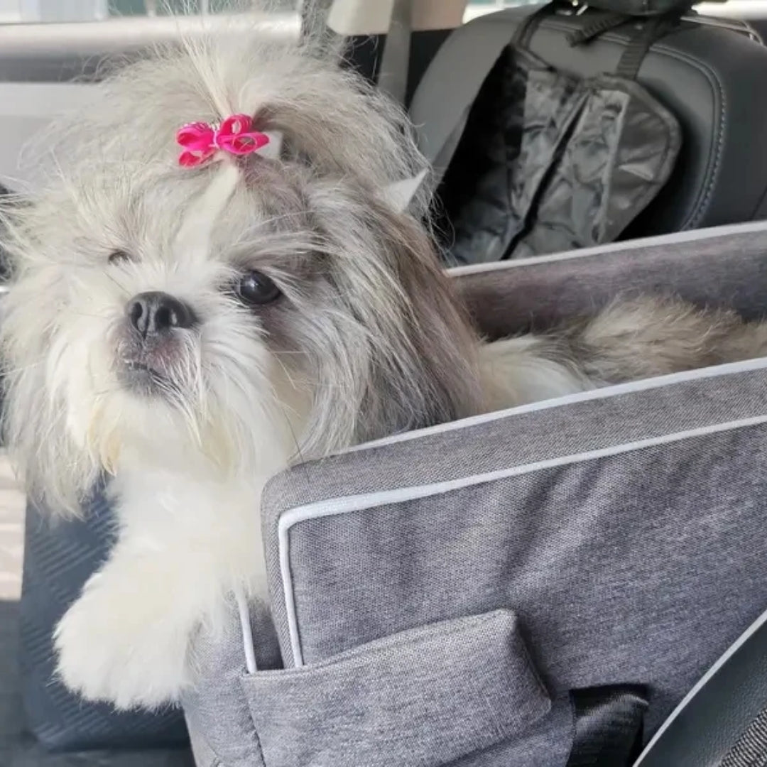Compact Dog Car Bed & Travel Bag for Small Dogs