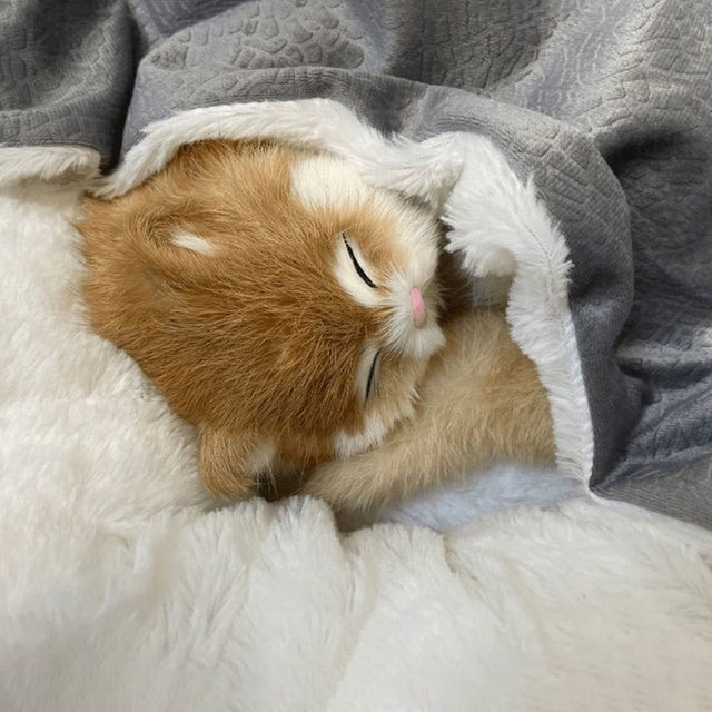 Cosy Pet Nest with Snuggle Blanket for Cats & Small Dogs