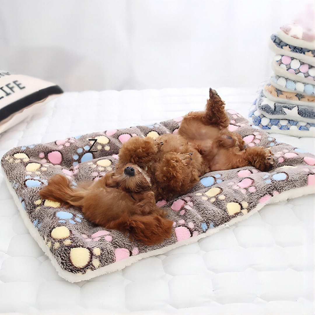Double Warmth Calming Dog Bed Blanket