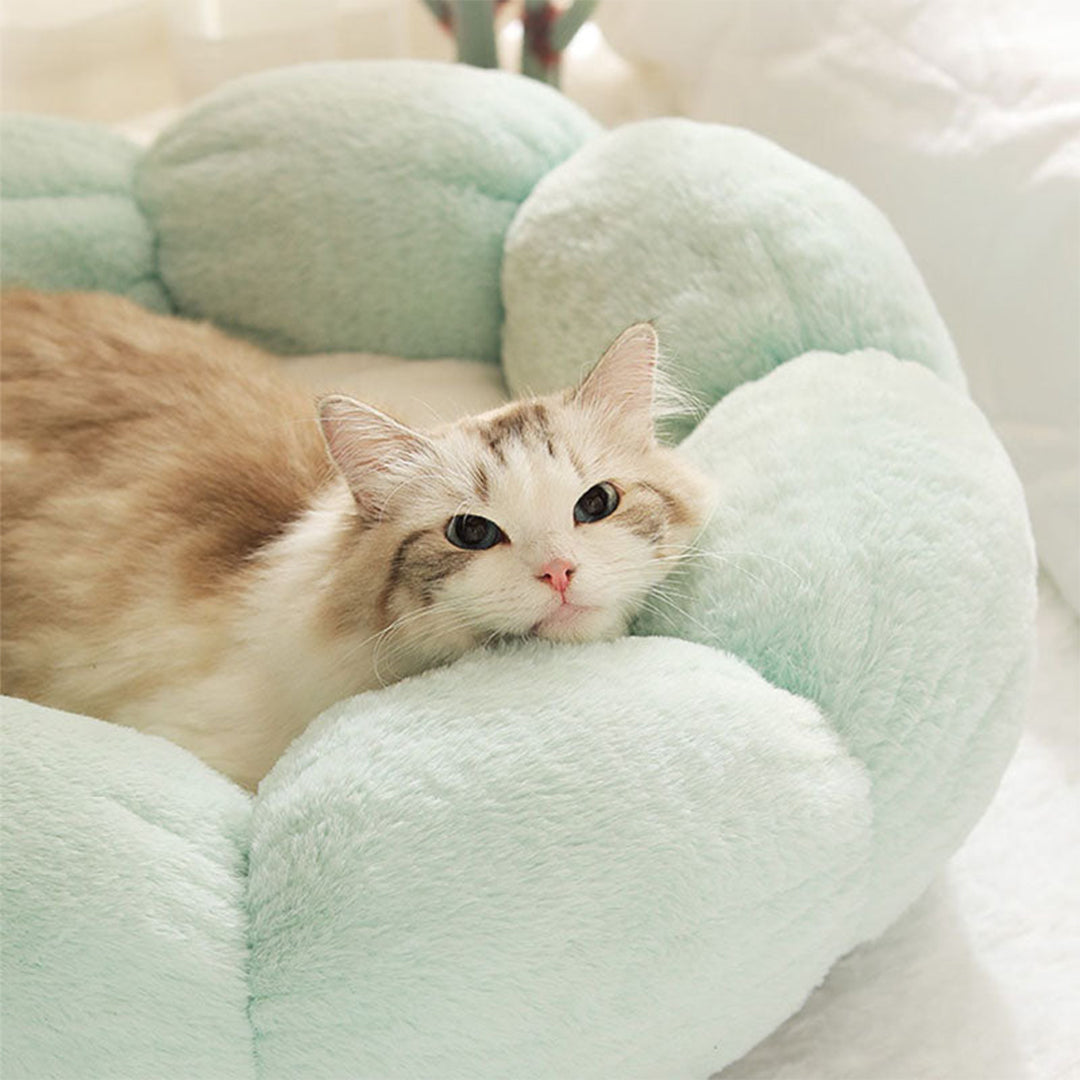 Flower-Shaped Cat Bed Nest