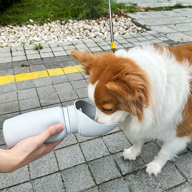 Foldable Dog Water Bottle for On-the-Go Hydration