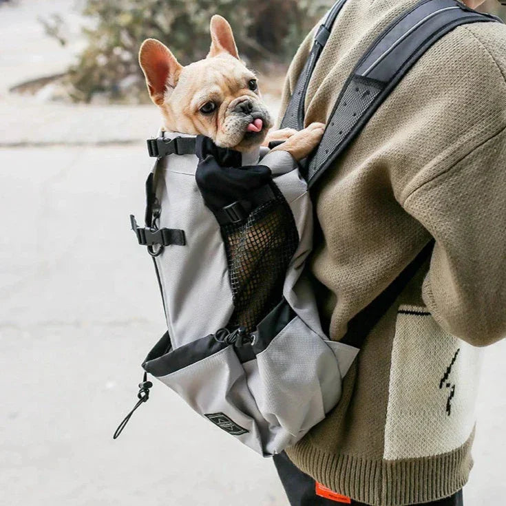 Hiking Dog Backpack Carrier for Outdoors