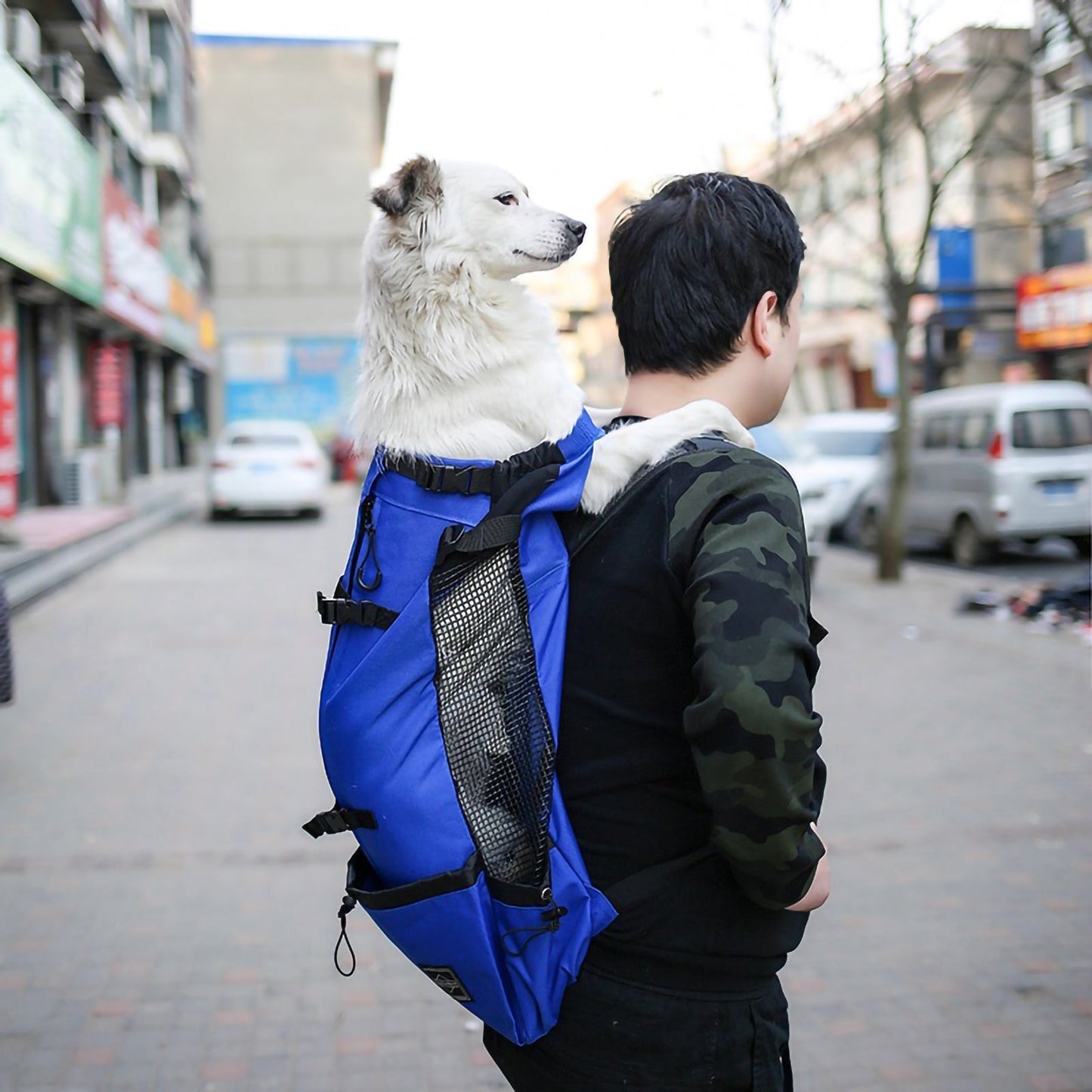 Hiking Dog Backpack Carrier for Outdoors