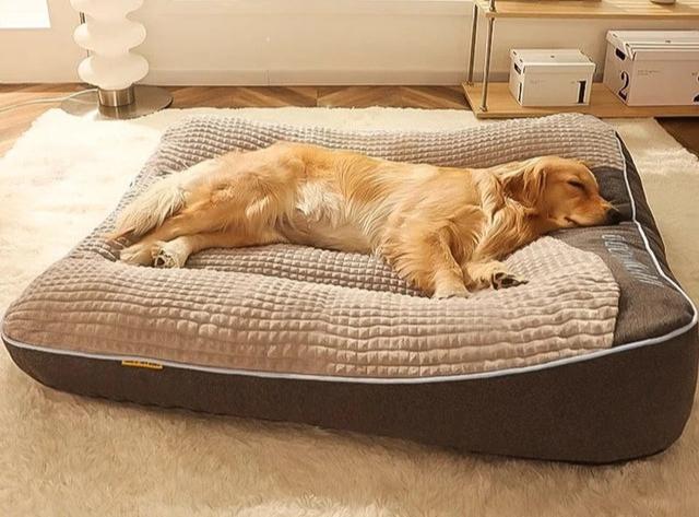 Large & Thick Orthopaedic Dog Bed Pillow for Bigger Dogs