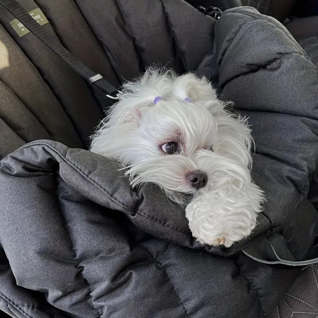 Luxury 3-in-1 Dog Travel Bag Bed & Car Seat