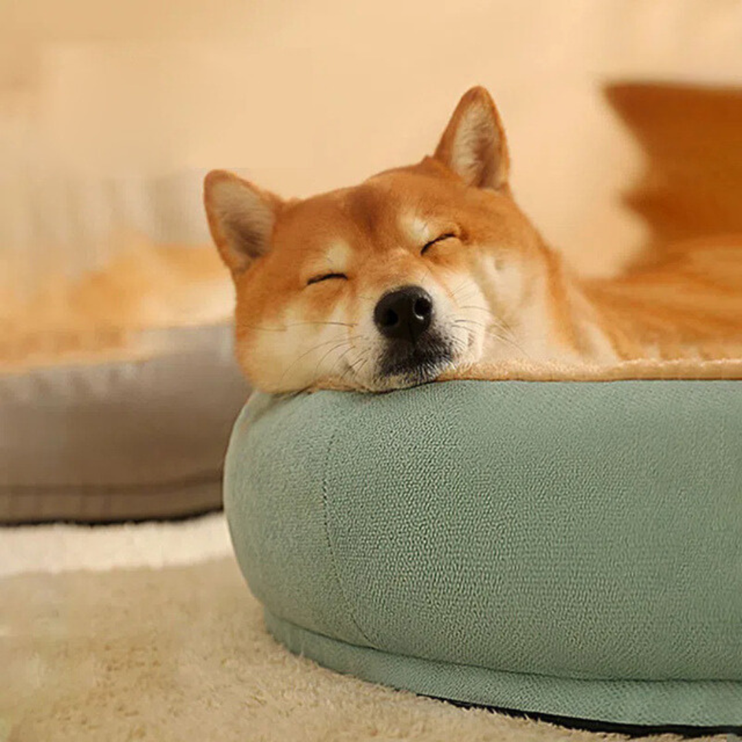 Luxury Velvet-Comfort Dog Bed
