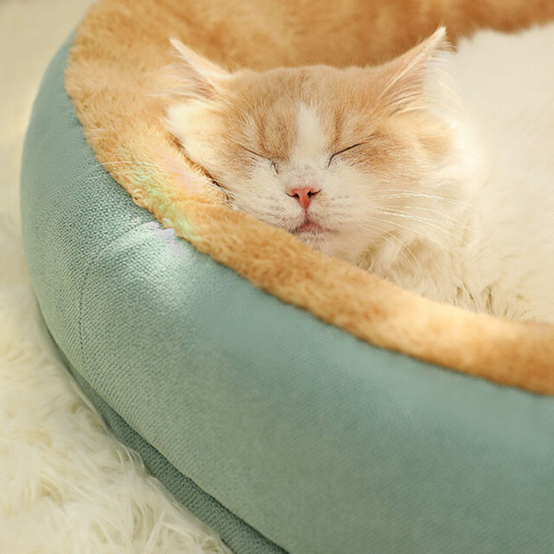 Luxury Velvet-Comfort Dog Bed