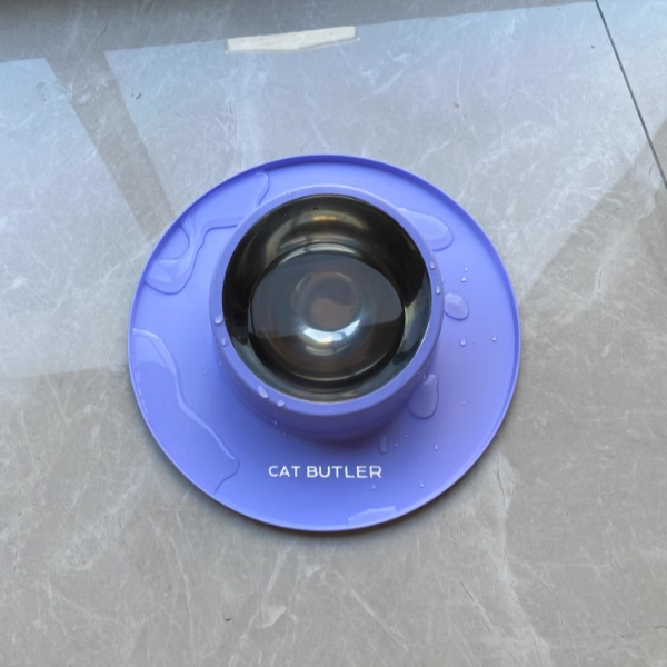Non-slip Bowl