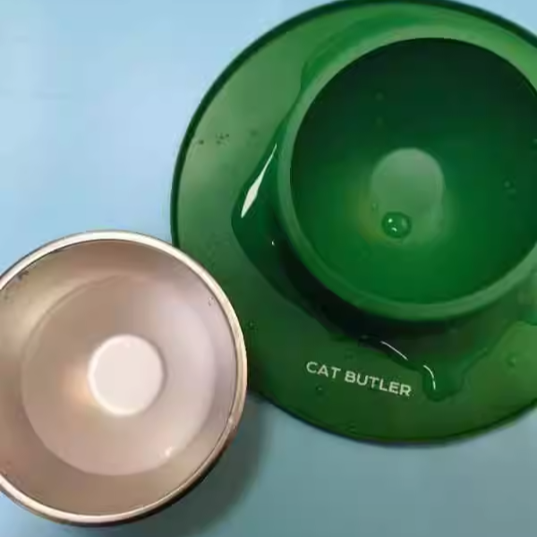 Non-slip Bowl