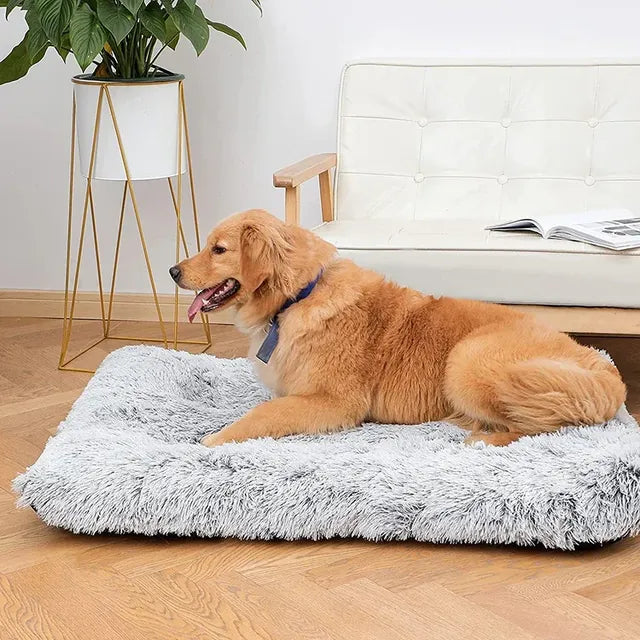 Plush Calming Dog Bed Cushion with Washable Cover