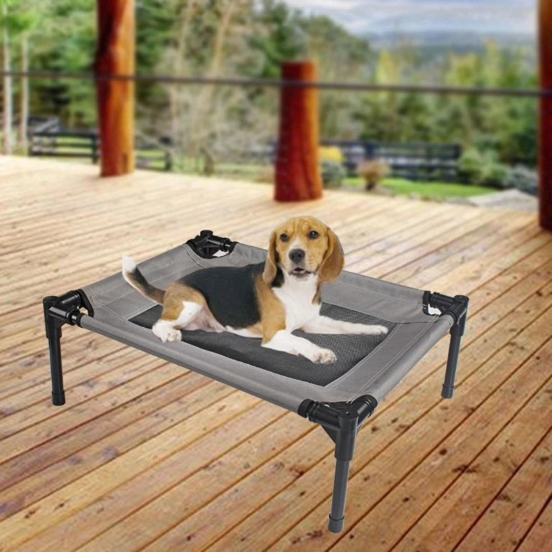 Raised Dog Bed with Metal Frame for Indoors & Outdoors