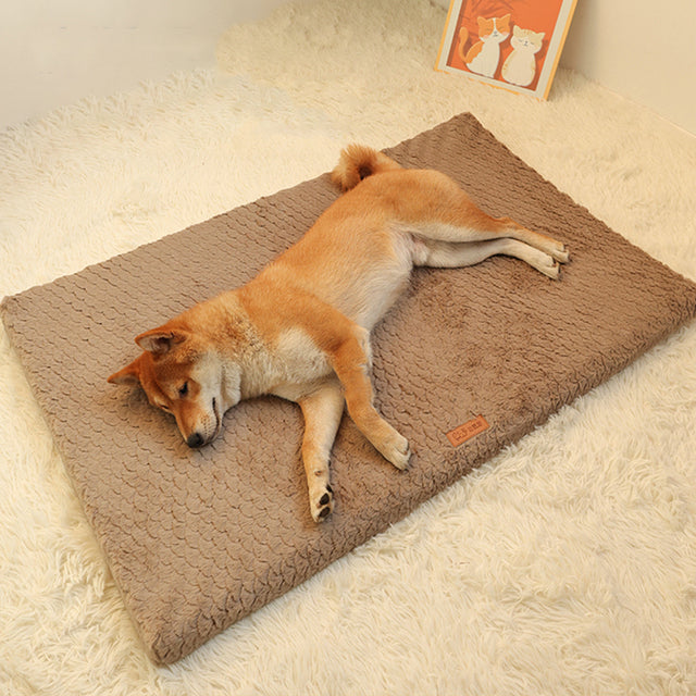 Short Plush Dog Bed Mat with Washable Zipped Cover