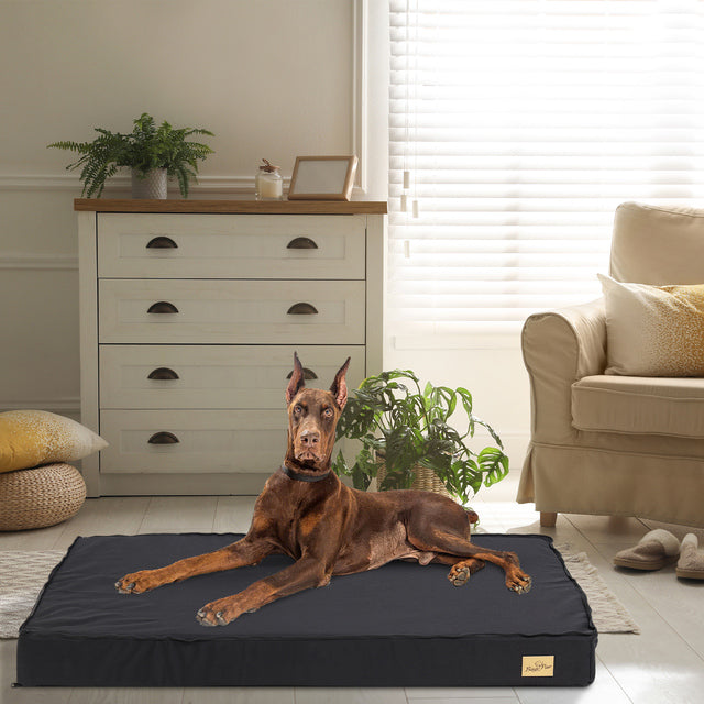 Thick Orthopaedic Dog Bed with Removable Cover for Large Dogs