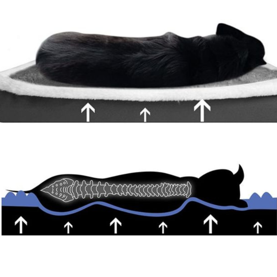 Ultra-Soft Orthopaedic Dog Bed with Removable Zipped Cover