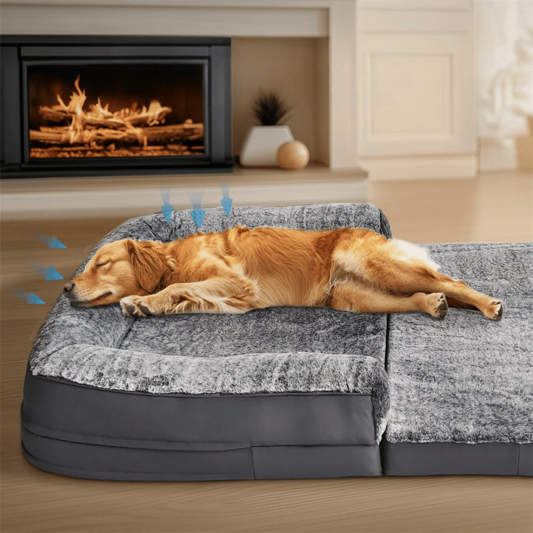 Anti-Anxiety Human Dog Bed | Foldable & Portable Calming Bolster Bed for Dogs & Owners