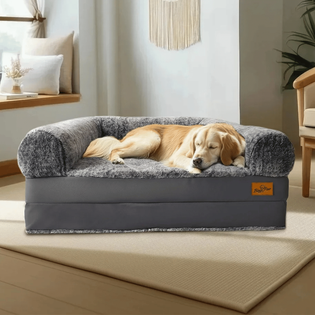 Anti-Anxiety Human Dog Bed | Foldable & Portable Calming Bolster Bed for Dogs & Owners