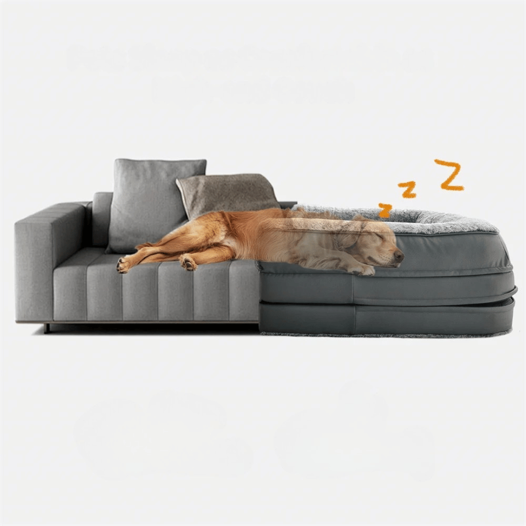 Anti-Anxiety Human Dog Bed | Foldable & Portable Calming Bolster Bed for Dogs & Owners