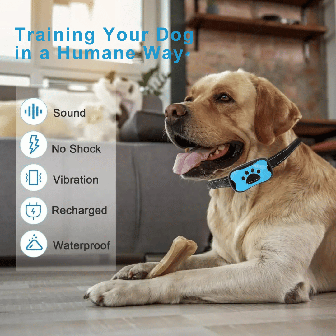 Anti-Bark Collar | No Shock Sound & Vibration Dog Training Device