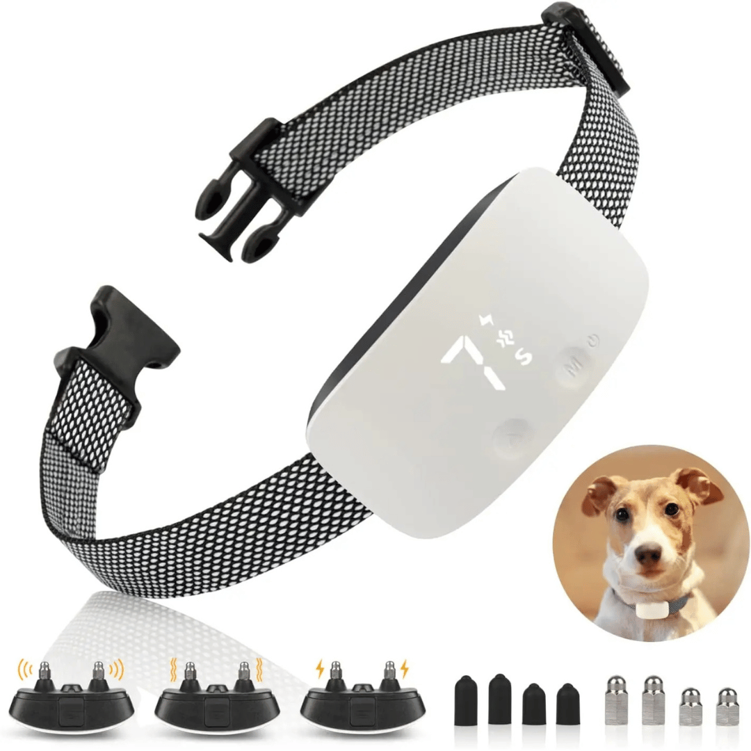 Anti-Bark Collar | Waterproof & Rechargeable Electric Dog Collar